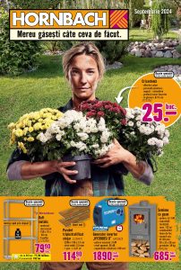 vezi catalog online