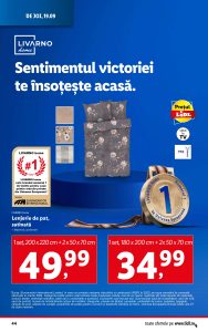 vezi catalog online