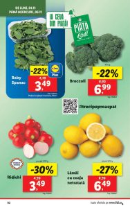 vezi catalog online