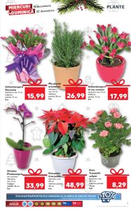 vezi catalog online