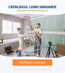 vezi catalog online