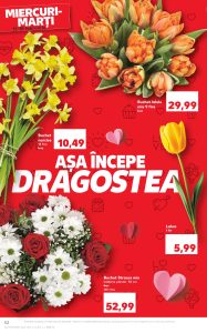 vezi catalog online