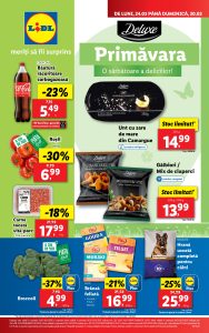 vezi catalog online