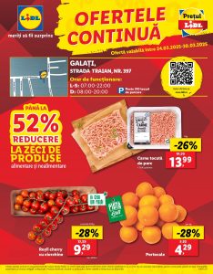 vezi catalog online