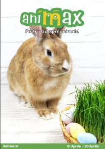 vezi catalog online