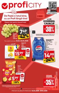 vezi catalog online