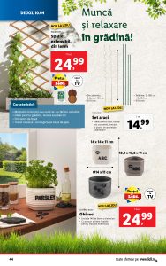 vezi catalog online