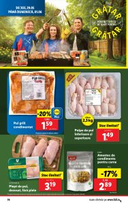 vezi catalog online