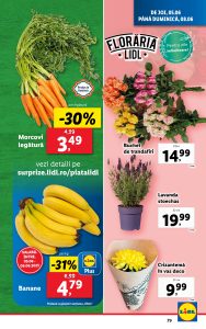 vezi catalog online