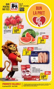 vezi catalog online