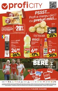 vezi catalog online