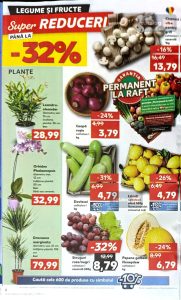 vezi catalog online