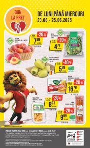 vezi catalog online