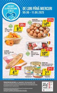 vezi catalog online