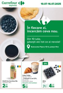 vezi catalog online