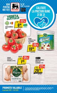 vezi catalog online