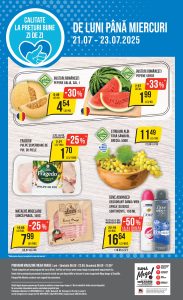 vezi catalog online