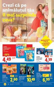 vezi catalog online