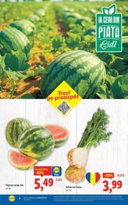 vezi catalog online